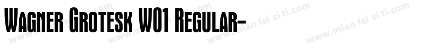 Wagner Grotesk W01 Regular字体转换